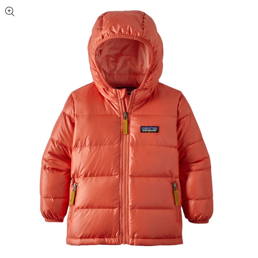 Patagonia Hi-Loft Down Hoody. Excellent condition.